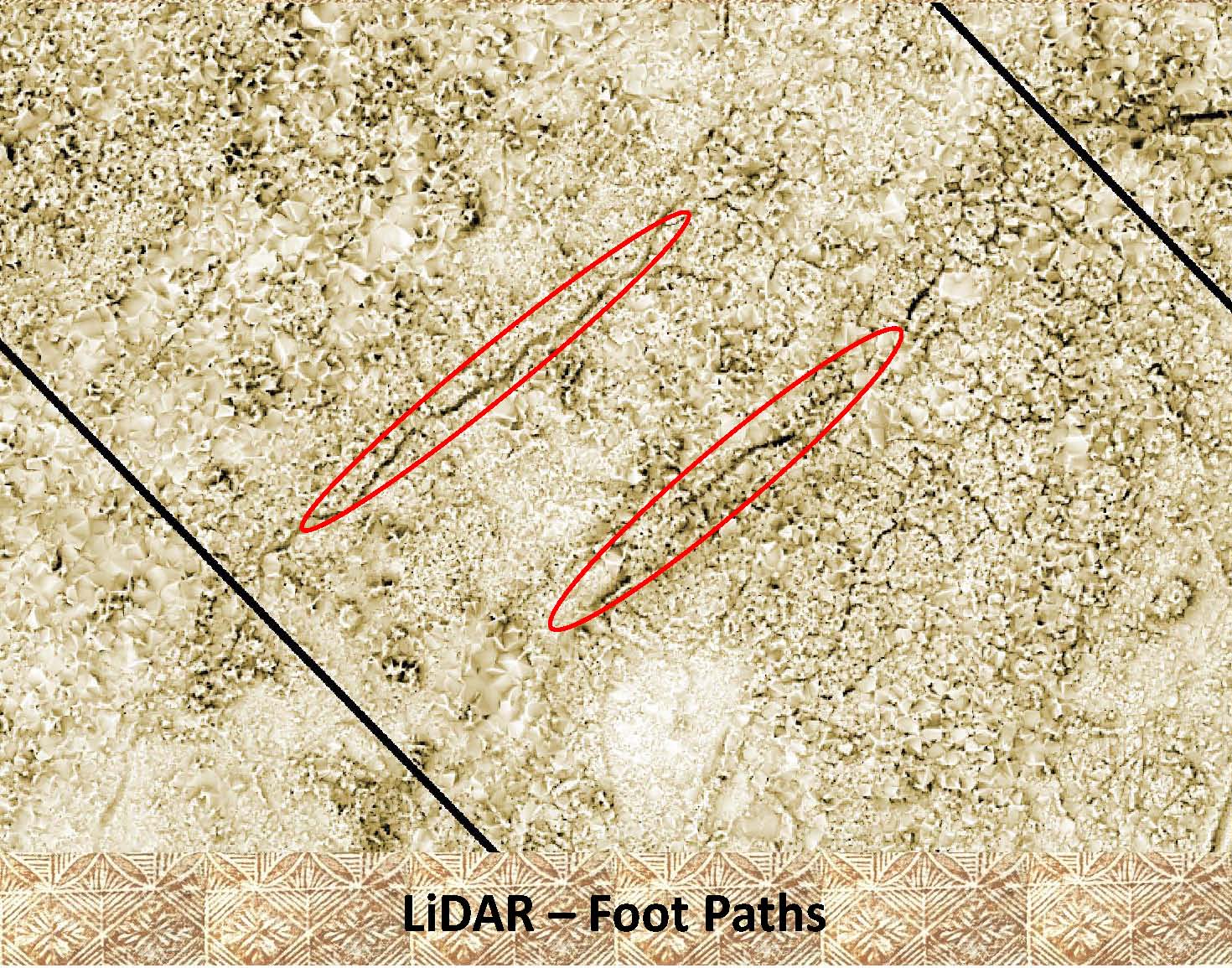 LiDAR Sample