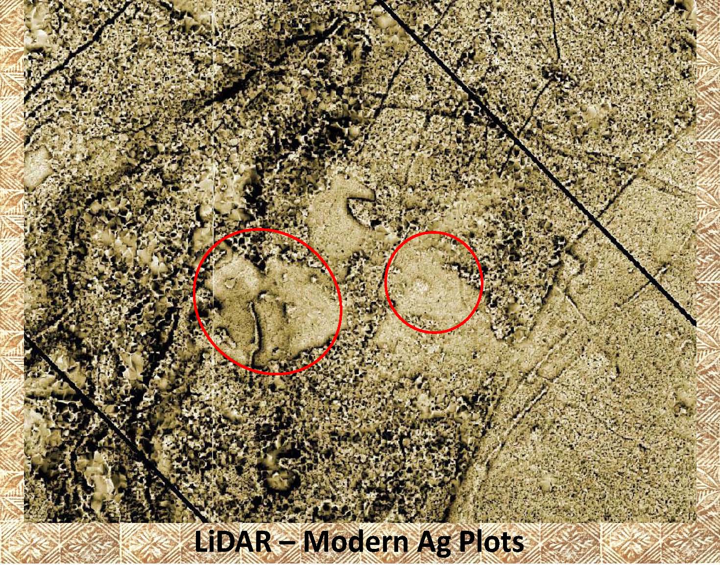 LiDAR Sample