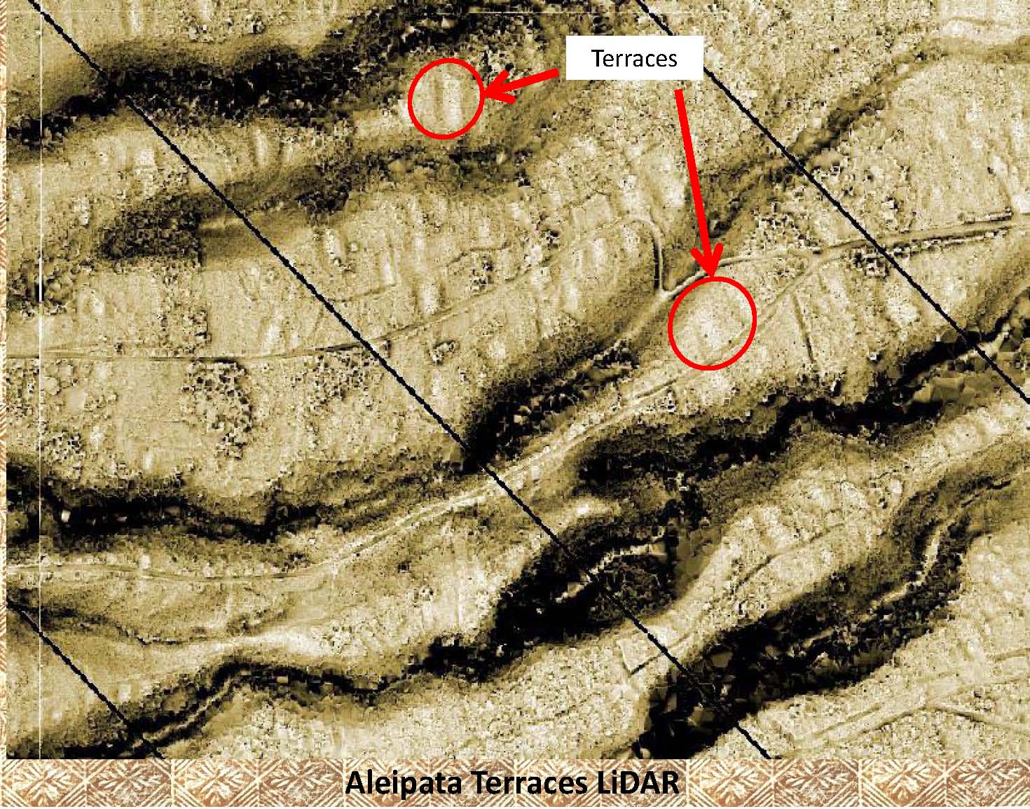 LiDAR Sample