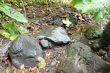 Moamoa Grinding Stones  1