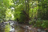 Moamoa Grinding Stones 5