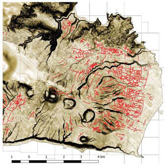 Palauli Survey